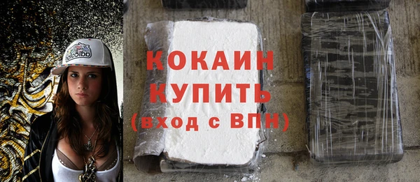индика Осташков