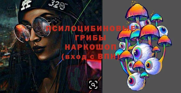 индика Осташков