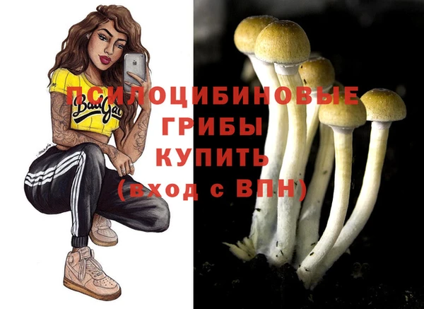 винт Алексин
